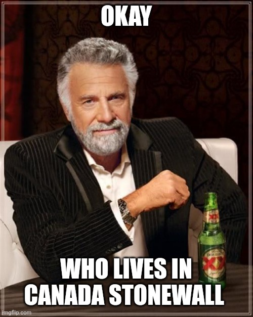 Who's IP did I just get | OKAY; WHO LIVES IN CANADA STONEWALL | image tagged in memes,the most interesting man in the world | made w/ Imgflip meme maker