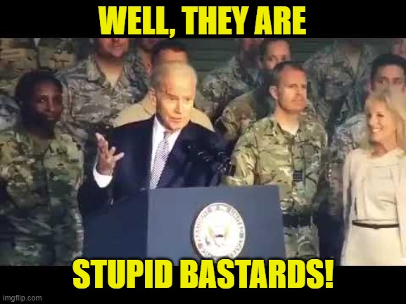 WELL, THEY ARE STUPID BASTARDS! | made w/ Imgflip meme maker