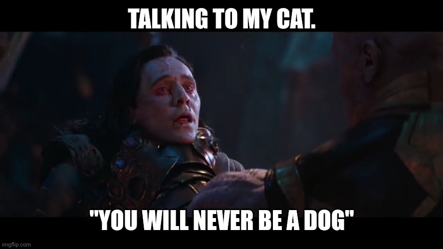 TALKING TO MY CAT. "YOU WILL NEVER BE A DOG" | made w/ Imgflip meme maker