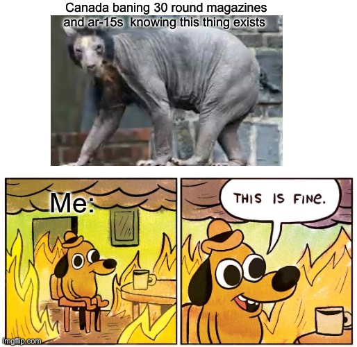 I dont know what to title this mods help me | Canada baning 30 round magazines and ar-15s  knowing this thing exists; Me: | image tagged in memes,this is fine,fun stream | made w/ Imgflip meme maker