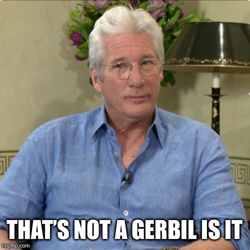 Disappointed Richard Gere | THAT’S NOT A GERBIL IS IT | image tagged in disappointed richard gere | made w/ Imgflip meme maker