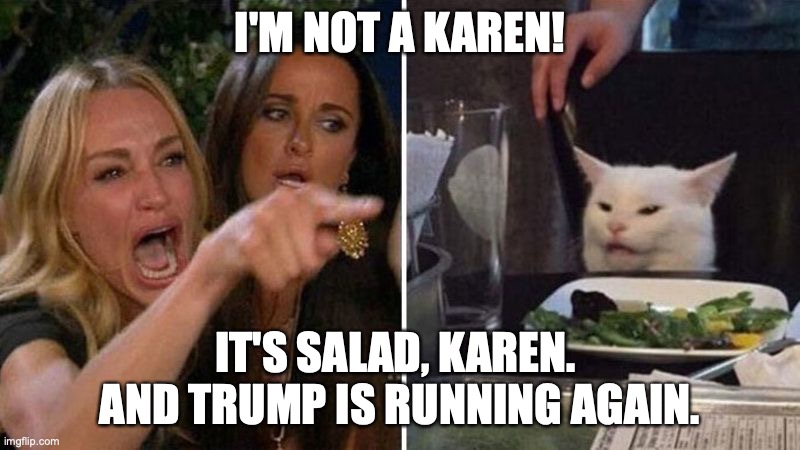 Karen Yelling | I'M NOT A KAREN! IT'S SALAD, KAREN.  AND TRUMP IS RUNNING AGAIN. | image tagged in karen,funny cat memes | made w/ Imgflip meme maker