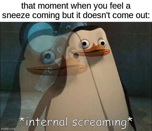 this just happened to me when i posted it | that moment when you feel a sneeze coming but it doesn't come out: | image tagged in private internal screaming,sneeze,memes,funny,pain,sneezing | made w/ Imgflip meme maker