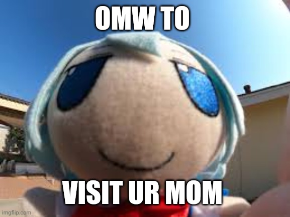 cirno fumo forehead | OMW TO; VISIT UR MOM | image tagged in cirno fumo forehead | made w/ Imgflip meme maker