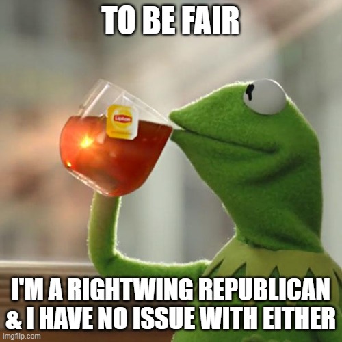 But That's None Of My Business Meme | TO BE FAIR I'M A RIGHTWING REPUBLICAN & I HAVE NO ISSUE WITH EITHER | image tagged in memes,but that's none of my business,kermit the frog | made w/ Imgflip meme maker