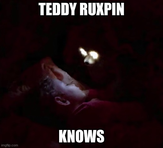 Teddy ruxpin knows | TEDDY RUXPIN; KNOWS | image tagged in teddy ruxpin knows | made w/ Imgflip meme maker