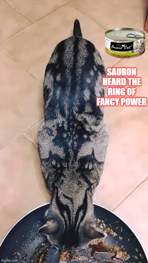 Sauron cat | SAURON HEARD THE RING OF FANCY POWER | image tagged in lotr,fancy feast,ring of power | made w/ Imgflip meme maker