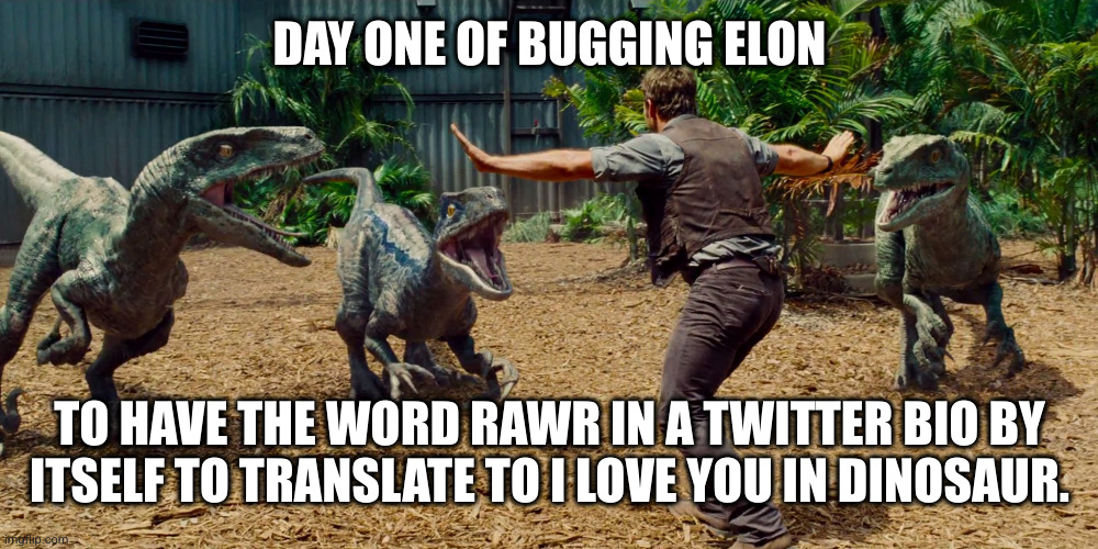 rawr | DAY ONE OF BUGGING ELON; TO HAVE THE WORD RAWR IN A TWITTER BIO BY ITSELF TO TRANSLATE TO I LOVE YOU IN DINOSAUR. | image tagged in chris pratt dinosaur meme | made w/ Imgflip meme maker