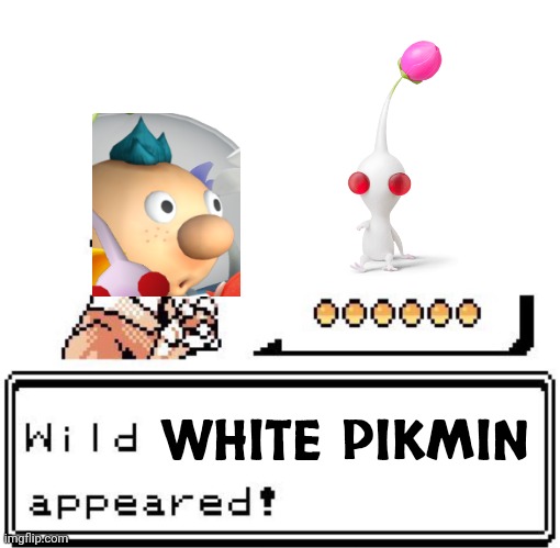 Wild White Pikmin? | WHITE PIKMIN | image tagged in blank wild pokemon appears,pikmin 2,pikmin,nintendo,pokemon | made w/ Imgflip meme maker