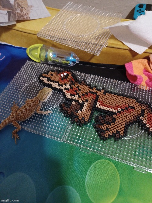 Hawthorn looking at herself in bead form | image tagged in beads,art,funny,bearded dragon,lizard,hawthorn | made w/ Imgflip meme maker