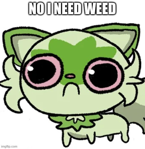 weed cat | NO I NEED WEED | image tagged in weed cat | made w/ Imgflip meme maker