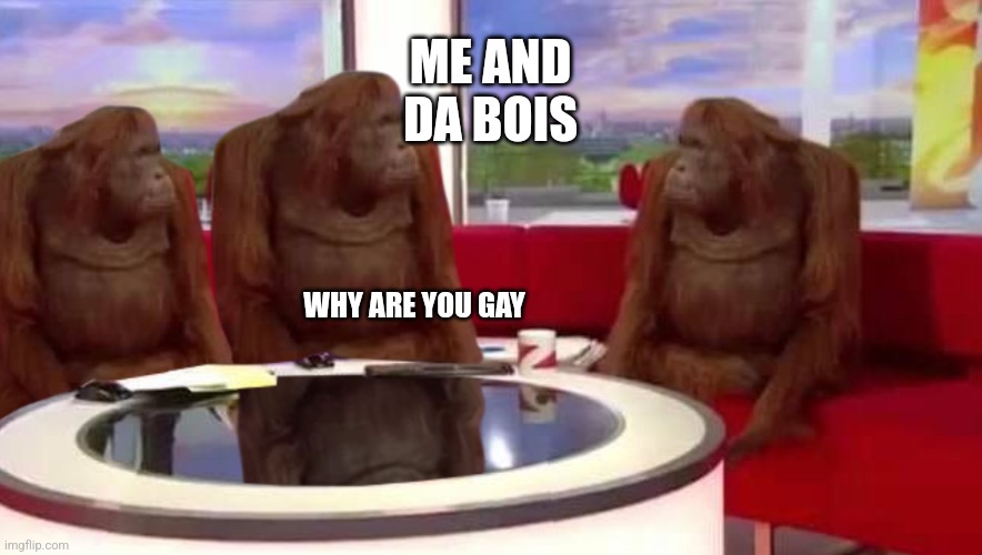 where monkey | ME AND DA BOIS; WHY ARE YOU GAY | image tagged in where monkey | made w/ Imgflip meme maker