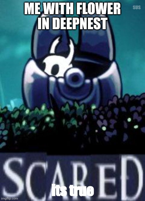 Hollow knight scared | SUS; ME WITH FLOWER IN DEEPNEST; its true | image tagged in hollow knight scared | made w/ Imgflip meme maker