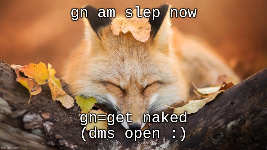 Goodnight | gn am slep now; gn=get naked
(dms open :) | image tagged in goodnight | made w/ Imgflip meme maker