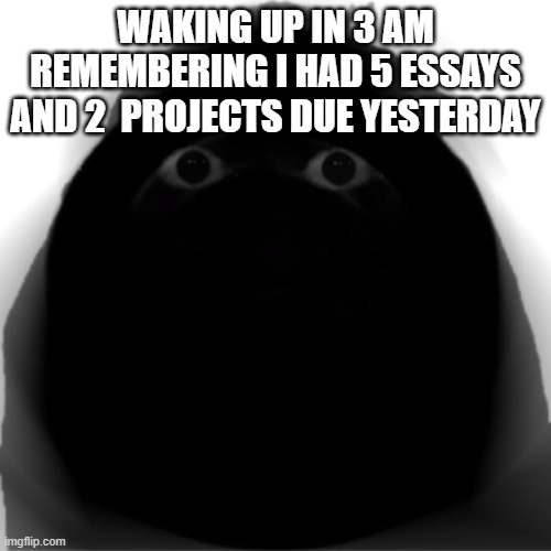 Angry Munci | WAKING UP IN 3 AM REMEMBERING I HAD 5 ESSAYS AND 2  PROJECTS DUE YESTERDAY | image tagged in angry munci | made w/ Imgflip meme maker
