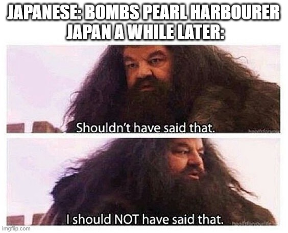 Hagrid shouldn't have said that | JAPANESE: BOMBS PEARL HARBOURER 
JAPAN A WHILE LATER: | image tagged in hagrid shouldn't have said that | made w/ Imgflip meme maker