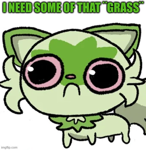 Yes | I NEED SOME OF THAT ¨GRASS¨ | image tagged in weed cat | made w/ Imgflip meme maker