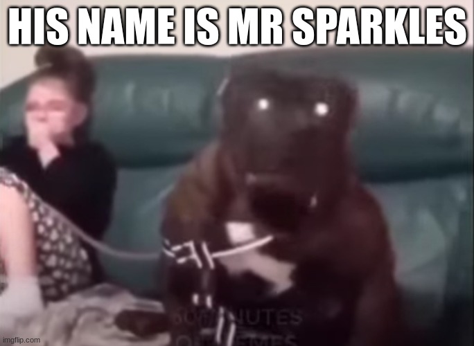 mr sparkles will send u to hell just for laughs | HIS NAME IS MR SPARKLES | image tagged in hell | made w/ Imgflip meme maker