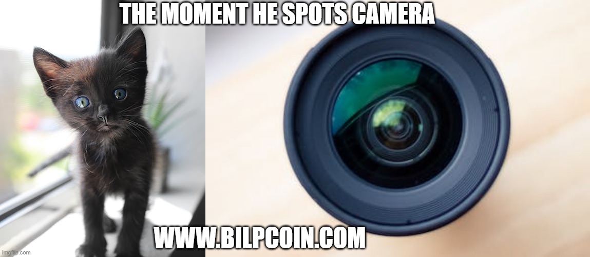THE MOMENT HE SPOTS CAMERA; WWW.BILPCOIN.COM | made w/ Imgflip meme maker