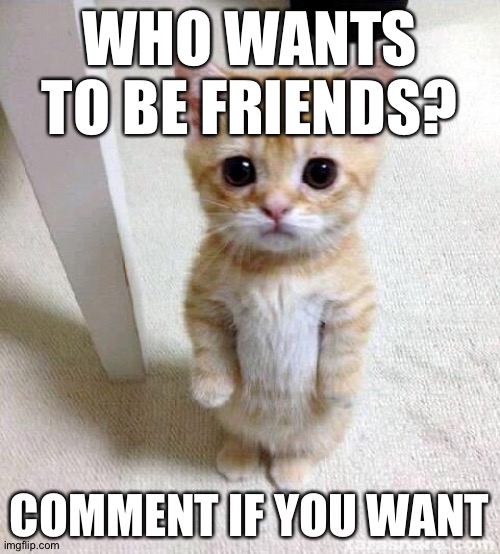 Friends? | WHO WANTS TO BE FRIENDS? COMMENT IF YOU WANT | image tagged in memes,cute cat,friends | made w/ Imgflip meme maker