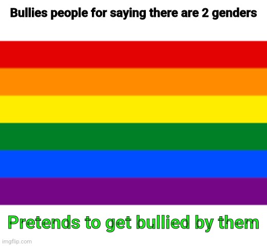 LGBTQ Flag | Bullies people for saying there are 2 genders; Pretends to get bullied by them | image tagged in lgbtq flag | made w/ Imgflip meme maker