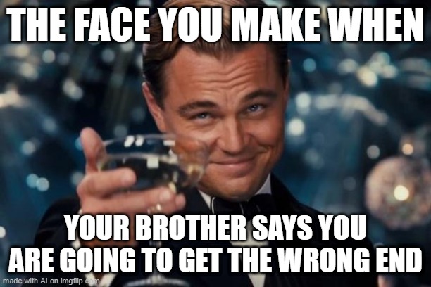 Leonardo Dicaprio Cheers | THE FACE YOU MAKE WHEN; YOUR BROTHER SAYS YOU ARE GOING TO GET THE WRONG END | image tagged in memes,leonardo dicaprio cheers | made w/ Imgflip meme maker