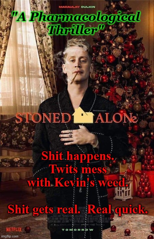 Stoned Alone | "A Pharmacological Thriller"; Shit happens. Twits mess with Kevin's weed.
    

Shit gets real.  Real quick. | image tagged in pharmacological thriller,satire,weed,home alone,christmas movies | made w/ Imgflip meme maker