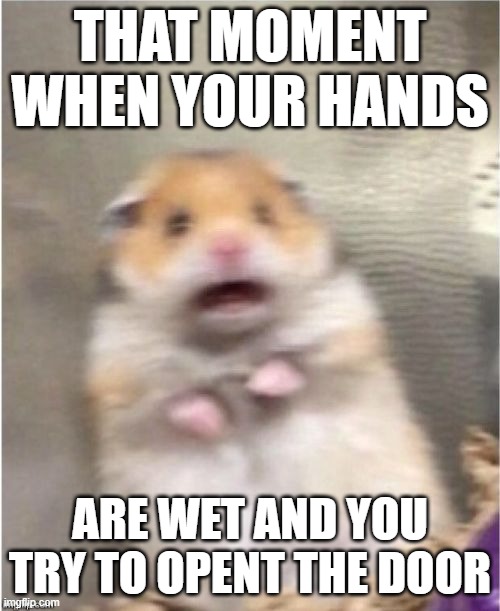 Scared Hamster | THAT MOMENT WHEN YOUR HANDS; ARE WET AND YOU TRY TO OPENT THE DOOR | image tagged in scared hamster | made w/ Imgflip meme maker