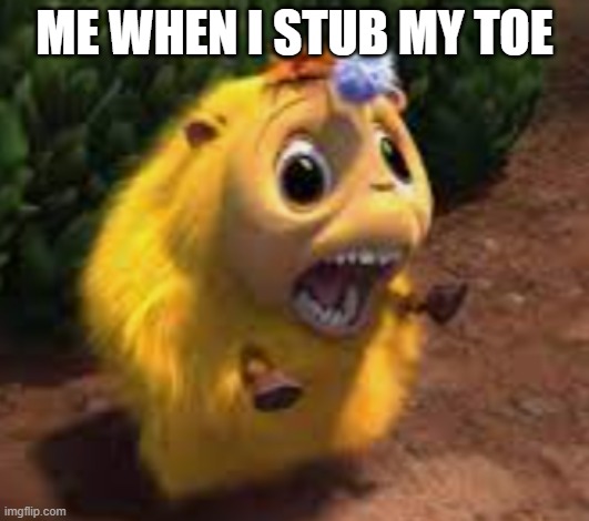 beware easy to stub your toe | ME WHEN I STUB MY TOE | image tagged in katie,stubing your toe | made w/ Imgflip meme maker