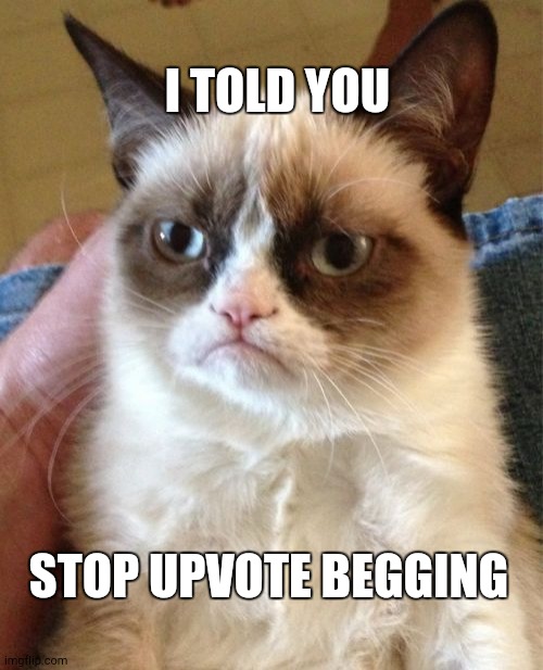 Grumpy Cat Meme | I TOLD YOU; STOP UPVOTE BEGGING | image tagged in memes,grumpy cat | made w/ Imgflip meme maker