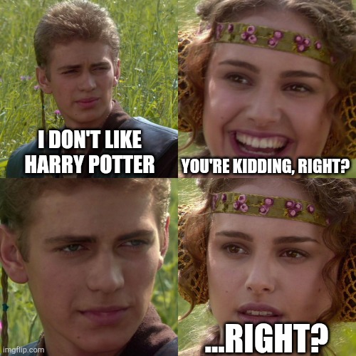 Anakin Potter | I DON'T LIKE HARRY POTTER; YOU'RE KIDDING, RIGHT? ...RIGHT? | image tagged in anakin padme 4 panel,harry potter | made w/ Imgflip meme maker