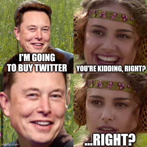 Anakin Musk | I'M GOING TO BUY TWITTER; YOU'RE KIDDING, RIGHT? ...RIGHT? | image tagged in elon musk,twitter,anakin padme 4 panel | made w/ Imgflip meme maker