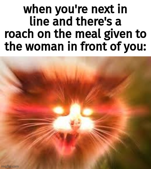 triggered cat | when you're next in line and there's a roach on the meal given to the woman in front of you: | image tagged in triggered cat | made w/ Imgflip meme maker