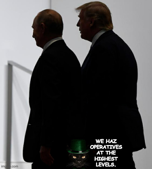 WE HAZ
OPERATIVES
AT THE
HIGHEST
LEVELS. | made w/ Imgflip meme maker