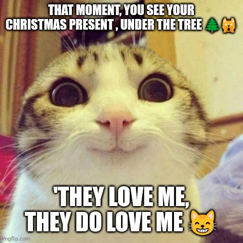 Christmas kitty meme