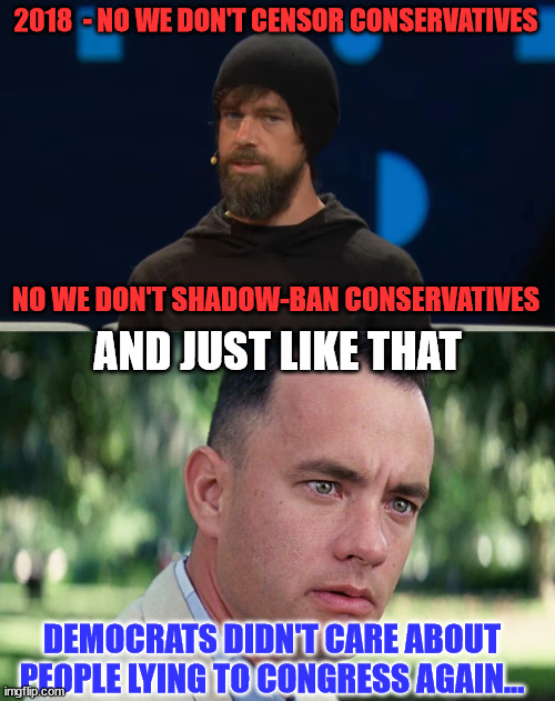 Double standards apply...   no CNN in the bushes...  no swat team arrest in the middle of the night... | 2018  - NO WE DON'T CENSOR CONSERVATIVES; NO WE DON'T SHADOW-BAN CONSERVATIVES; AND JUST LIKE THAT; DEMOCRATS DIDN'T CARE ABOUT PEOPLE LYING TO CONGRESS AGAIN... | image tagged in memes,and just like that,corrupt,democrats | made w/ Imgflip meme maker