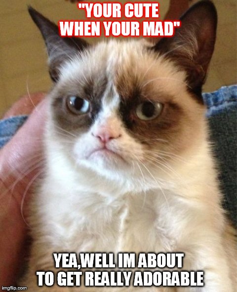 Grumpy Cat Meme | "YOUR CUTE WHEN YOUR MAD" YEA,WELL IM ABOUT TO GET REALLY ADORABLE | image tagged in memes,grumpy cat | made w/ Imgflip meme maker