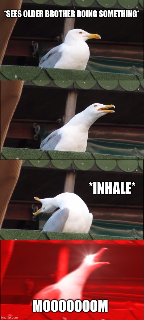Little brothers be like | *SEES OLDER BROTHER DOING SOMETHING*; *INHALE*; MOOOOOOOM | image tagged in memes,inhaling seagull,relatable | made w/ Imgflip meme maker