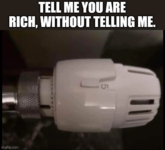 Rich | TELL ME YOU ARE RICH, WITHOUT TELLING ME. | image tagged in rich,wealth,weather | made w/ Imgflip meme maker
