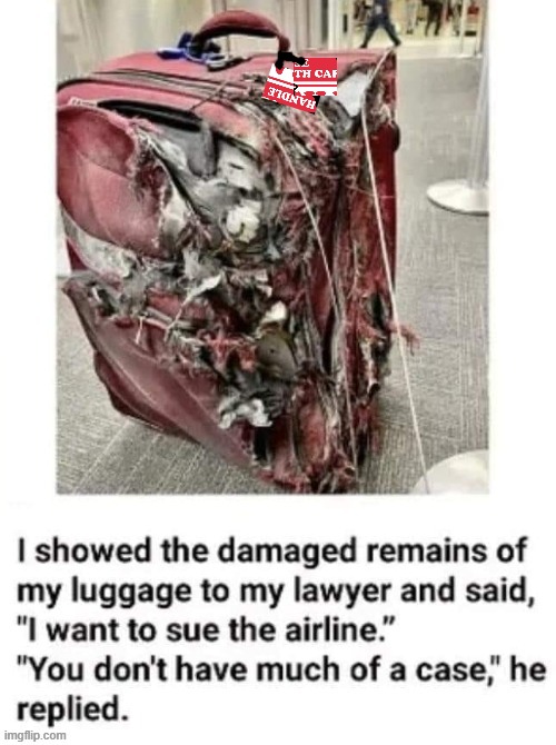 Super Smash Brothers Luggage Handling Inc. | image tagged in suitcase | made w/ Imgflip meme maker
