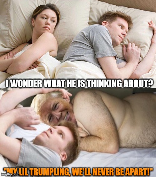 You know who you are. He's in your head no matter what side of the bed with him you're on. | I WONDER WHAT HE IS THINKING ABOUT? "MY LIL TRUMPLING, WE'LL NEVER BE APART!" | image tagged in trump derangement syndrome,i bet he's thinking about other women,liberal vs conservative | made w/ Imgflip meme maker