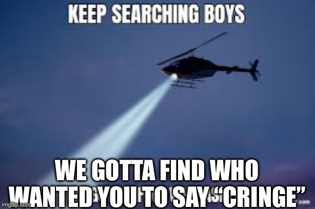 Keep Searching boys we gotta find | WE GOTTA FIND WHO WANTED YOU TO SAY “CRINGE” | image tagged in keep searching boys we gotta find | made w/ Imgflip meme maker