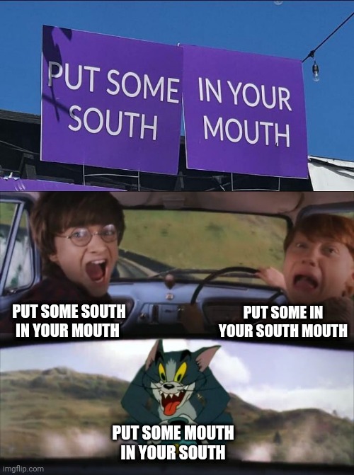 South Mouth | PUT SOME IN YOUR SOUTH MOUTH; PUT SOME SOUTH IN YOUR MOUTH; PUT SOME MOUTH IN YOUR SOUTH | image tagged in tom chasing harry and ron weasly,south,mouth,you had one job,memes,design fails | made w/ Imgflip meme maker