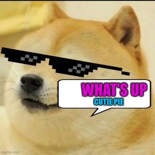 Cutie pie | WHAT'S UP; CUTIE PIE | image tagged in sunglass doge | made w/ Imgflip meme maker