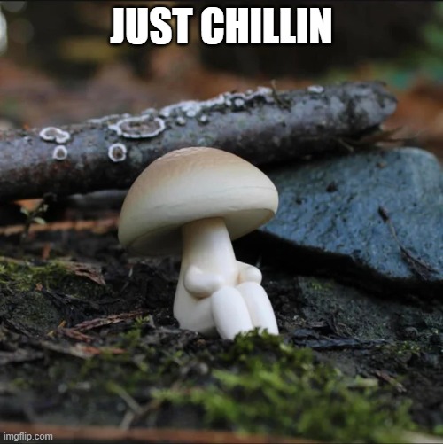 chillin | JUST CHILLIN | image tagged in chillin,kewlew | made w/ Imgflip meme maker