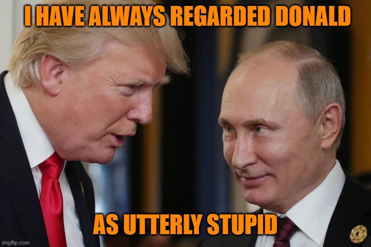 Donnie & Vlad | I HAVE ALWAYS REGARDED DONALD AS UTTERLY STUPID | image tagged in donnie vlad | made w/ Imgflip meme maker