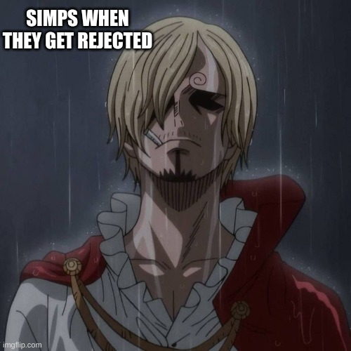 Totally not calling sanji out | SIMPS WHEN THEY GET REJECTED | image tagged in onepiece,funny meme,simp,sad | made w/ Imgflip meme maker