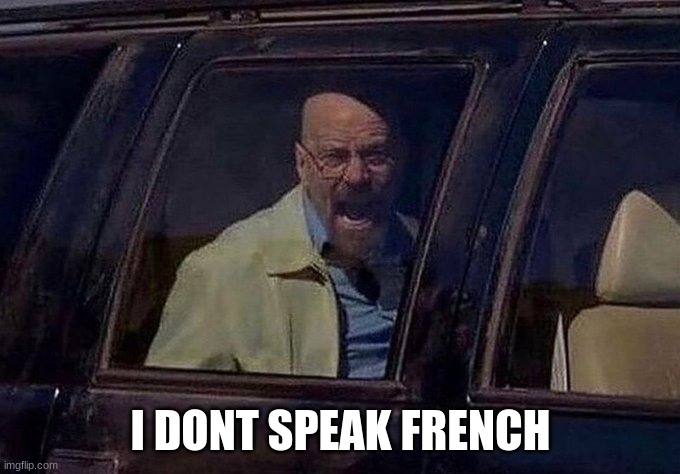 racist language against the french | I DONT SPEAK FRENCH | image tagged in walter white screaming at hank | made w/ Imgflip meme maker