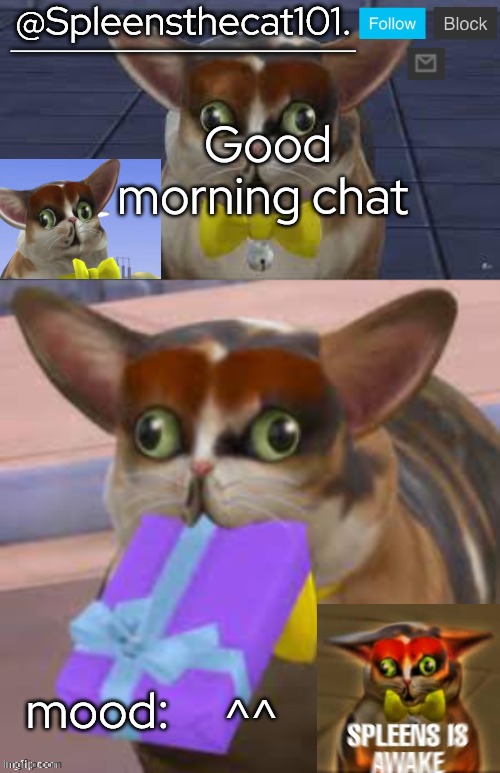 Ye | Good morning chat; ^^ | image tagged in spleensthecat101 | made w/ Imgflip meme maker