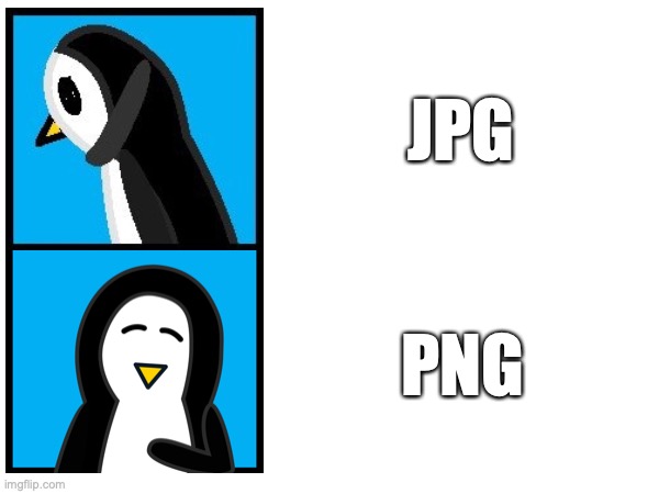 PNG vs. JPG | JPG; PNG | image tagged in drake hotline bling,penguin | made w/ Imgflip meme maker